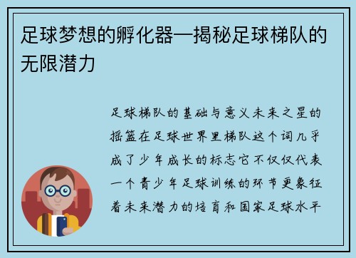 足球梦想的孵化器—揭秘足球梯队的无限潜力