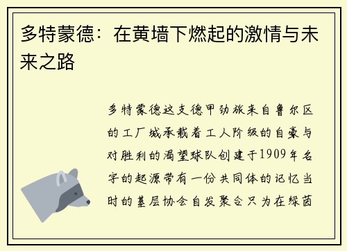 多特蒙德：在黄墙下燃起的激情与未来之路